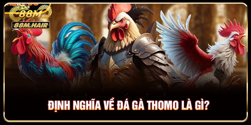 Định nghĩa về đá gà thomo là gì?